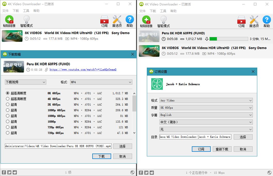 4K Video Downloader v4.28.0.560 图片