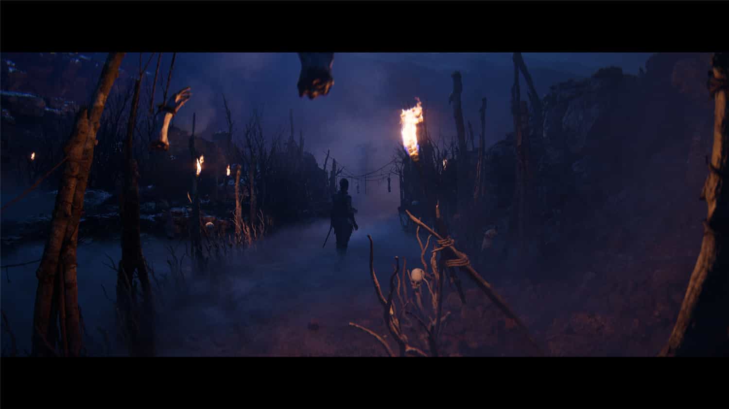 地狱之刃2：塞娜的献祭/Senua’s Saga恐怖惊悚 图片