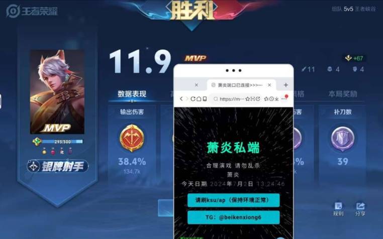 王者手游·萧炎端口防封插件免费版 v7.4