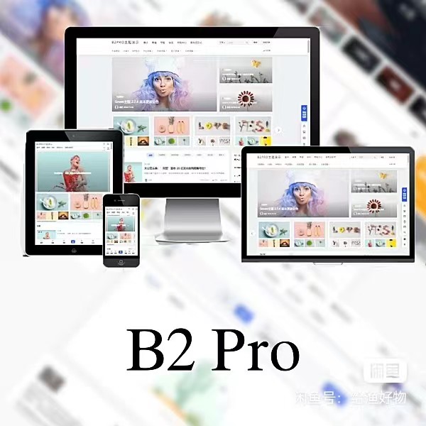 WordPress B2 Pro 主题5.2.0最新开心版,附带官方包体与授权文件 图片
